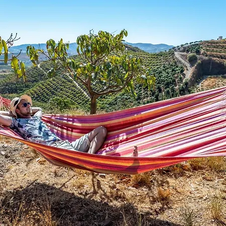 Dome House On Ecological Mango Farm Luxury tent
