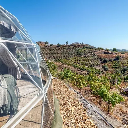 Luxury tent Dome House On Ecological Mango Farm Velez Malaga