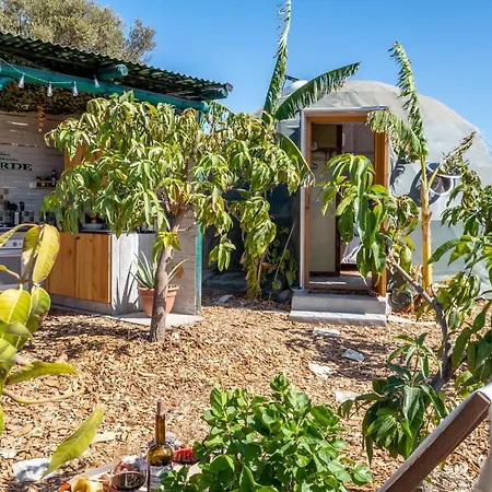 Glamping Dome House On Ecological Mango Farm Velez Malaga