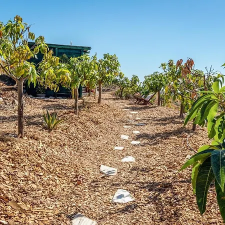 Dome House On Ecological Mango Farm Luxury tent Velez Malaga